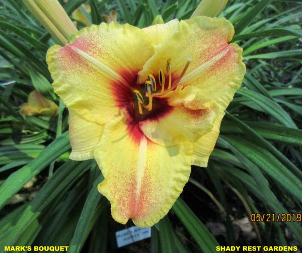 MARK'S BOUQUET (2)