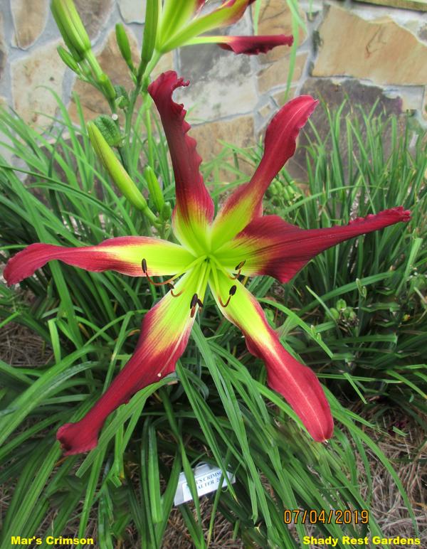 Mar's Crimson (2)